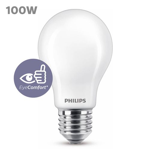Philips Ledlamp Warm Wit E27 10,5w